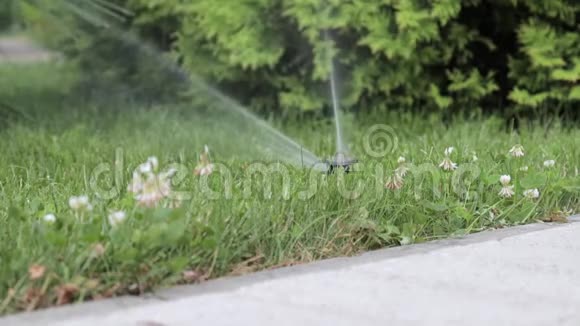 自动灌溉系统草坪喷淋喷淋机在行动中浇灌草和植物视频的预览图