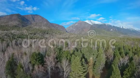 飞过山脚下的森林视频的预览图