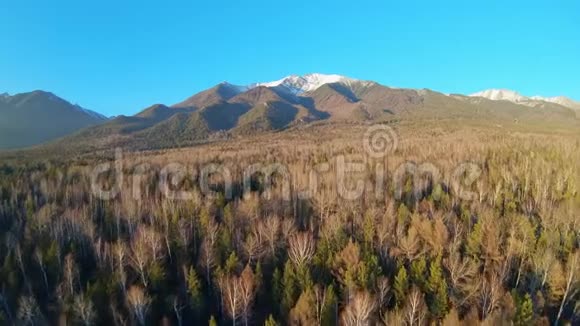空中拍摄美丽的山景鸟瞰树梢和山脉视频的预览图
