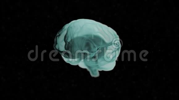 脑部解剖真实的人类大脑在黑色的o背景上旋转绿色阴影视频的预览图