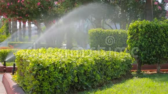 在自动灌溉系统的喷洒中给草坪浇水视频的预览图