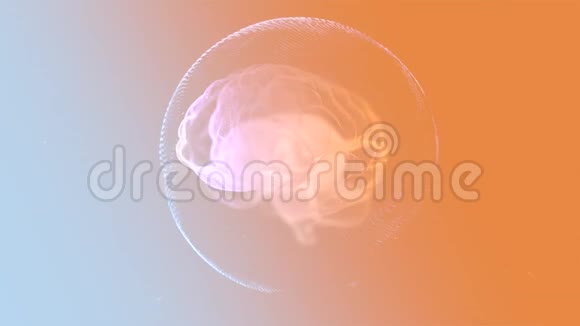 脑部解剖真实的人脑在透明胶囊内旋转覆盖明亮的橙色背景视频的预览图