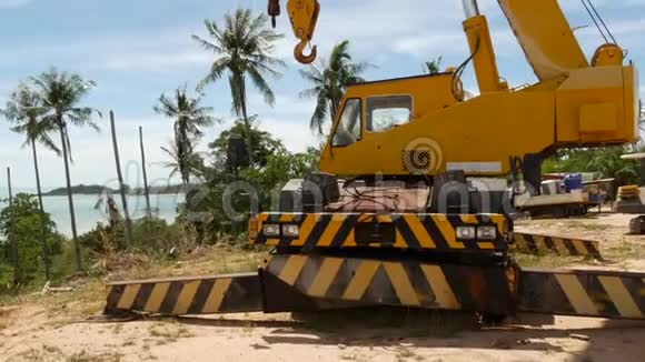 在热带森林工作的建筑机器黄鹤在热带砍伐外来树木的侧景视频的预览图