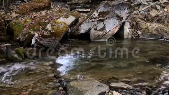 山河流淌在绿林附近在乌克兰性质的喀尔巴阡山脉旅行视频的预览图