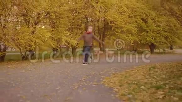 玩的孩子和狗在秋街跑步快乐的男孩和女孩在秋天的小路上带着可爱的公鸡猎犬奔跑视频的预览图