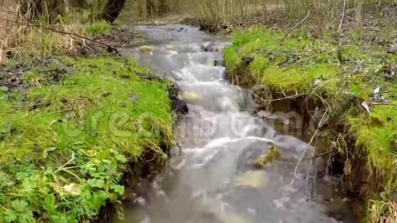 春天那条小而生动的小溪视频的预览图