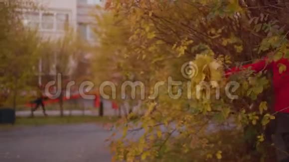 快乐的少年男孩把秋叶的花束送给公园里的年轻女孩微笑的男孩把叶子捧到视频的预览图