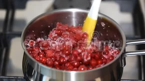 特写的女人用金属平底锅中的小硅胶刮刀搅动红色浆果视频的预览图