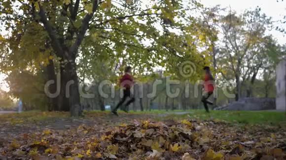 秋天的娱乐活动迷人开朗的女朋友牵着手跑边走边撒落叶脚视频的预览图