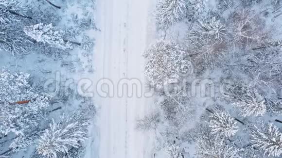 在白雪皑皑的树林中装载货物的卡车视频的预览图