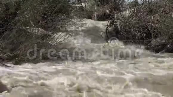 4洪水暴雨洪水洪水灾难视频的预览图