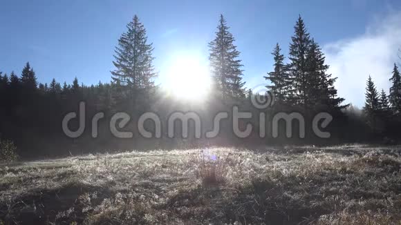 4雾中的K山景观冰露草甸神秘雾谷松林阳光景观视频的预览图