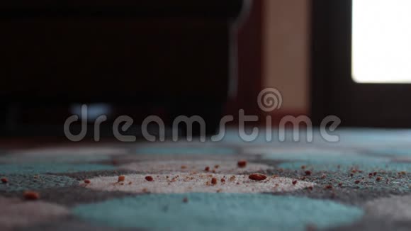 吸尘器被传送到地毯上吸污视频的预览图