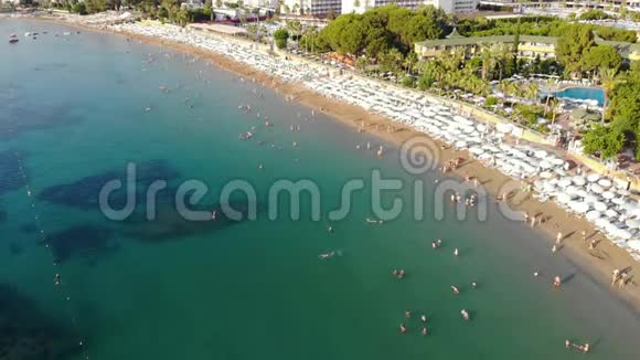 人们在阳光下洗澡在海滩上游泳沙滩上游客的鸟瞰图视频的预览图