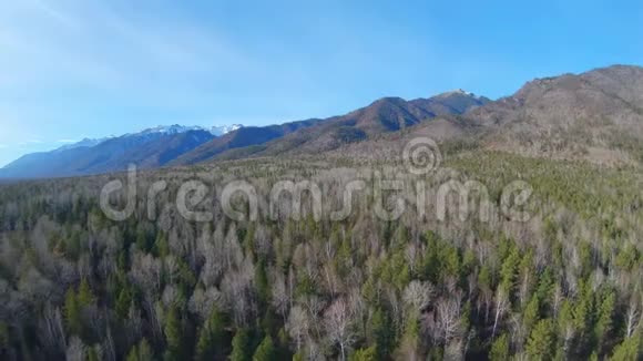 林地和山脉的鸟瞰图视频的预览图