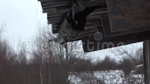秋天旧石板屋顶木屋下的雨水视频的预览图
