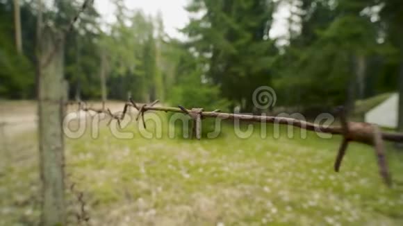 夏季森林中被铁丝网包围的小型军用旧掩体视频的预览图