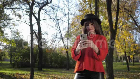 微笑的女朋友喜欢在一起在秋天的公园里拍一张美丽的阳光灿烂的自拍视频的预览图