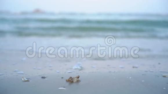在泰国华欣海滩软波拍打着沙滩视频的预览图
