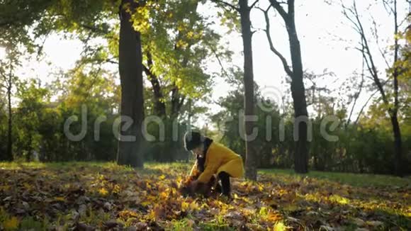 快乐的童年美丽的小女孩在秋天的公园里在新鲜的空气中抛出黄叶健康的生活方式视频的预览图