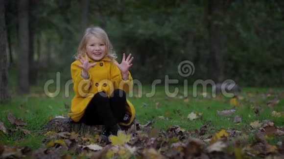 可爱的可爱的微笑的女孩坐在树桩上在草坪上的一个公园里在落叶中拍手视频的预览图