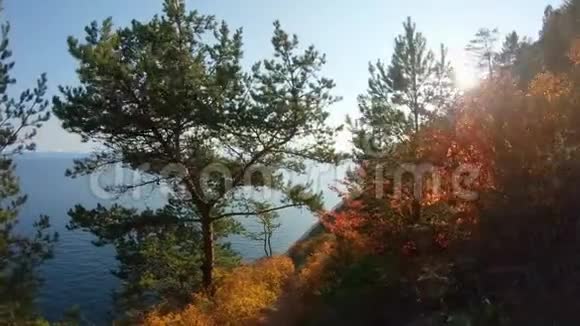 在阳光明媚的秋日海岸陡坡上的下降视频的预览图