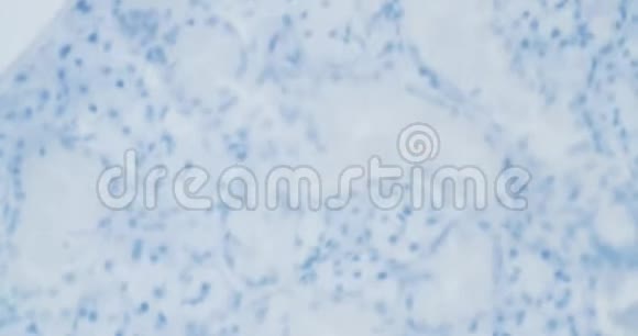 显微镜下病毒结构视频的预览图