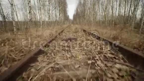 森林中废弃的窄轨铁路秋日低视角视频的预览图
