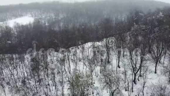 冬季在森林上空进行空中射击视频的预览图