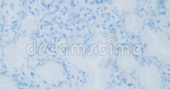 显微镜下病毒结构视频的预览图