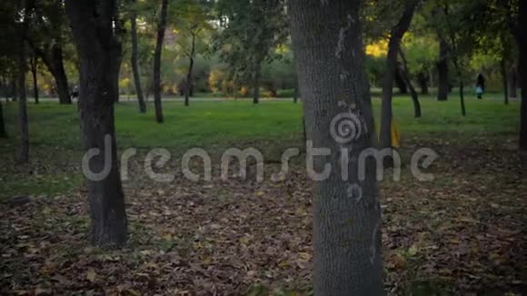 快乐的微笑女孩在秋天的公园里在树的背景下秋天的树叶里跑步玩得开心视频的预览图