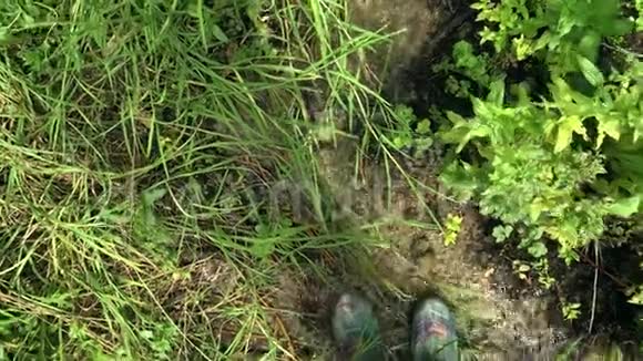 一个穿着橡胶靴的女游客徒步旅行者沿着斯特雷姆河散步然后从自然中收集清澈的水视频的预览图