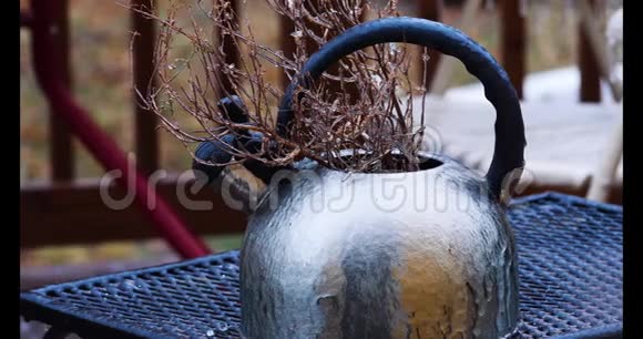 冰盖上的冷冻茶壶和死植物视频的预览图