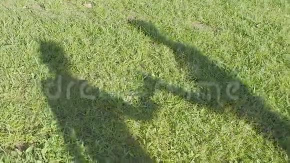 两人在草地上的影子视频的预览图