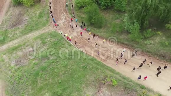 男人和女人在森林小径上奔跑参加公园慢跑的人运动员早上做有氧运动女性视频的预览图