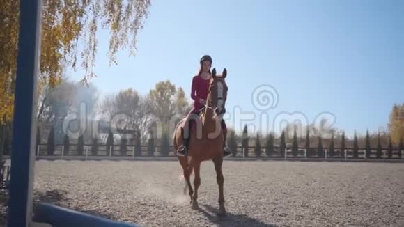 一个年轻的白人女孩穿着粉红色的衣服戴着骑马头盔动作缓慢跳过棕色优雅的马的屏障视频的预览图