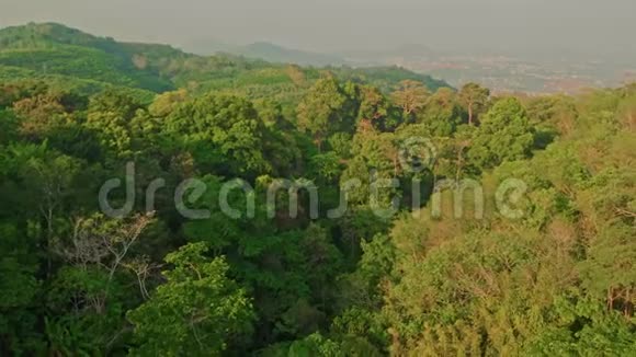 泰国森林山脉的俯视图视频的预览图