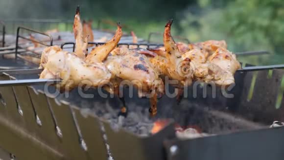 木炭烤架上的炸鸡做烧烤肉准备户外腌肉烤串上的鸡肉视频的预览图