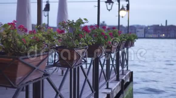 威尼斯水前酒吧放花的花瓶视频的预览图