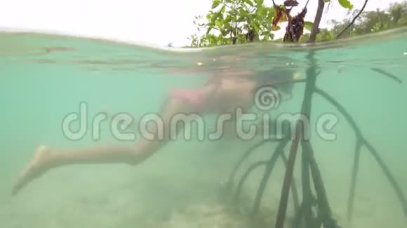 分景女子浮潜并在红树林树根附近拍照视频的预览图