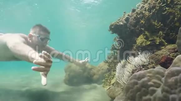 人类旅行者在度假时在海洋中的珊瑚礁附近学习海洋生物潜水视频的预览图