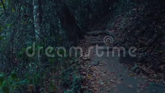 神秘月光下的山路2视频的预览图