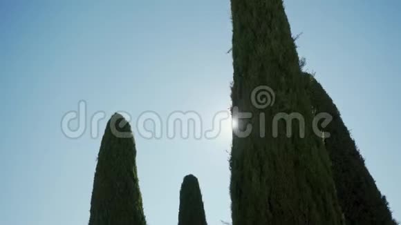 意大利托斯卡纳风景区的柏树树冠阳光灿烂视频的预览图