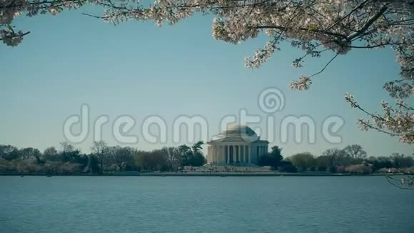 华盛顿的托马斯杰斐逊纪念堂上面有樱花枝视频的预览图