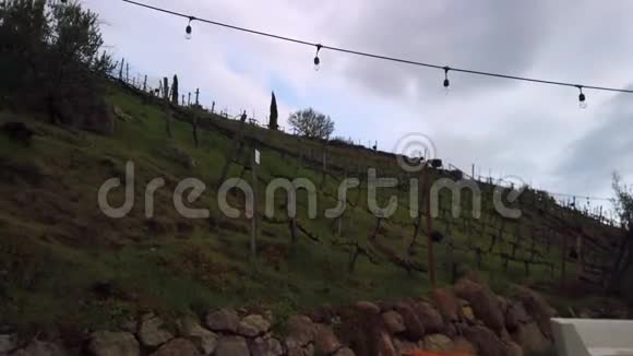 马里布山丘陵葡萄园上面有室外灯光场地设置视频的预览图