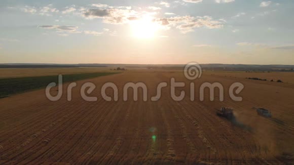 日落时分联合收割机农业机械收割黄金熟麦田的鸟瞰图收获粮食视频的预览图