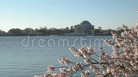 杰斐逊纪念碑拍摄于春天的早晨视频的预览图