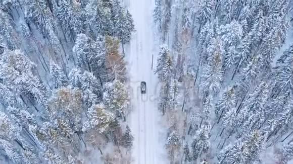 冬季森林道路上的孤独车辆视频的预览图