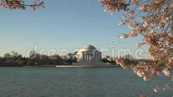 杰斐逊纪念堂和开花樱花树的春晨景色视频的预览图