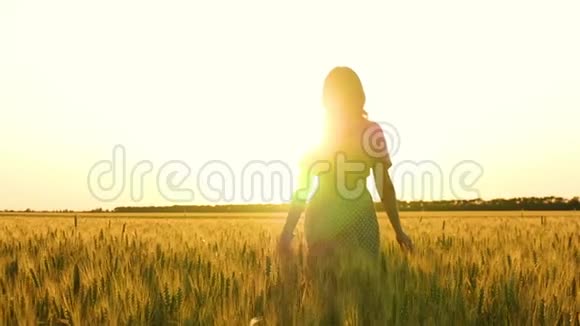 年轻的无忧无虑的女人穿着衣服缓慢地走过田野用手摸麦穗女性视频的预览图
